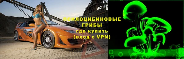 крисы Нефтегорск