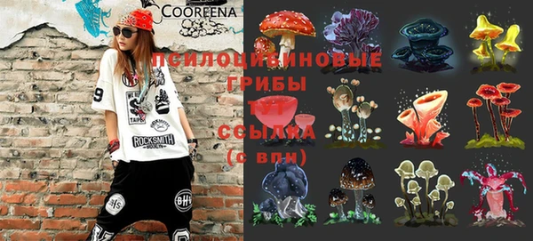 крисы Нефтегорск