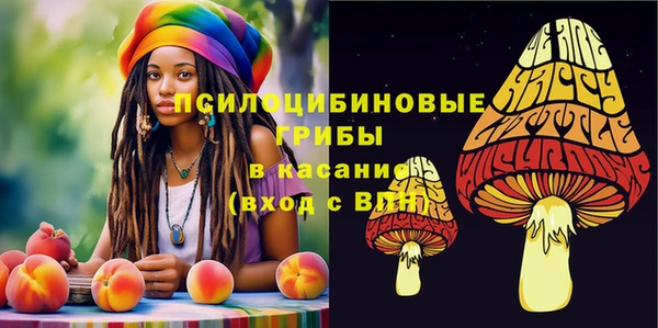 мет Нея