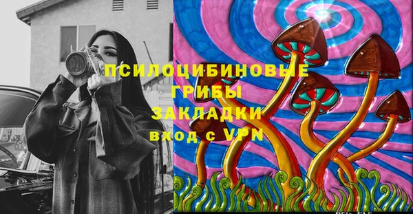 крисы Нефтегорск