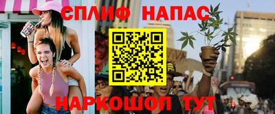 СК Волгодонск