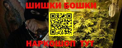 СК Волгодонск
