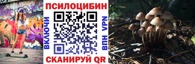 Псилоцибиновые грибы Magic Shrooms  Долгопрудный 