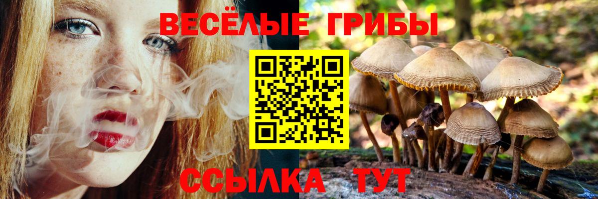 Псилоцибиновые грибы MAGIC MUSHROOMS  Долгопрудный 