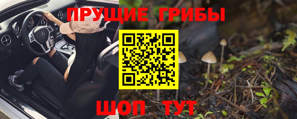 Галлюциногенные грибы Cubensis Долгопрудный