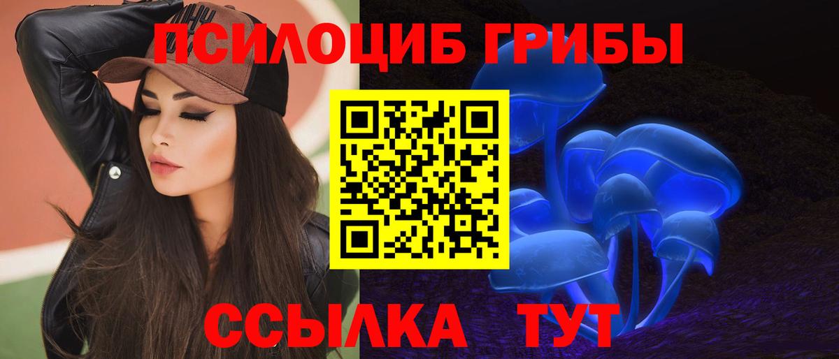 Галлюциногенные грибы Psilocybe Долгопрудный